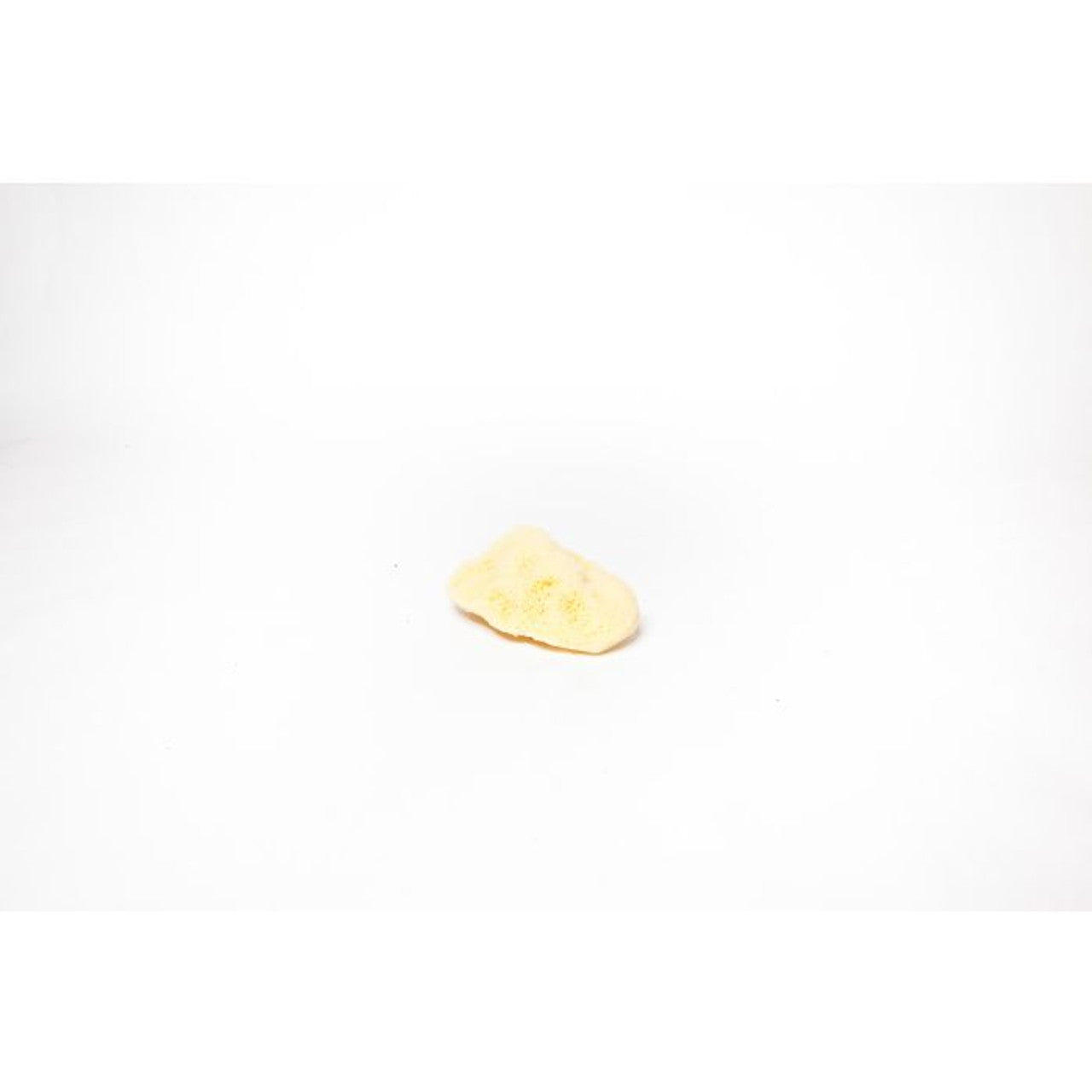 Mediterranean Silk Sea Sponge