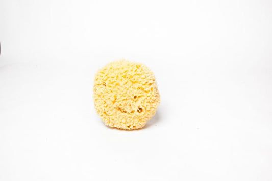 Premium Sea Wool Form